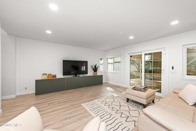 living room featuring light hardwood / wood-style flooring