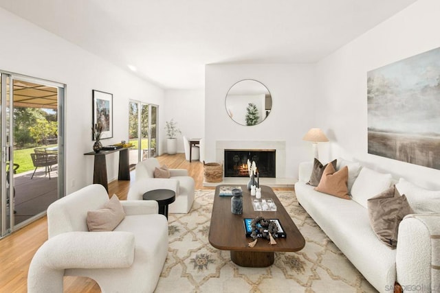 living room with light hardwood / wood-style floors