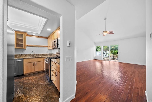 kitchen featuring dark wood-type flooring, a sink, baseboards, appliances with stainless steel finishes, and dark stone counters