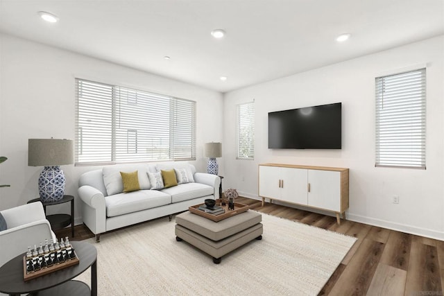 living room with hardwood / wood-style floors