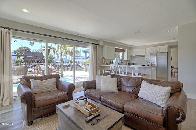 living room featuring light hardwood / wood-style flooring