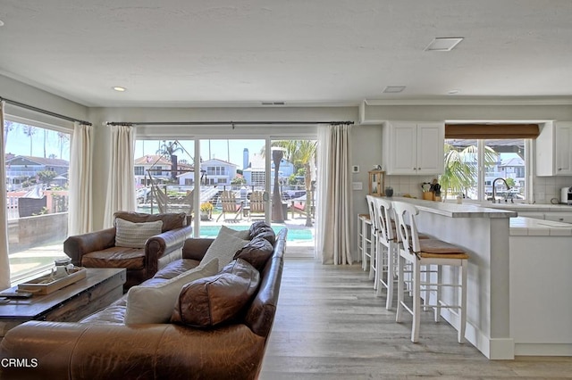 living room with sink, a wealth of natural light, and light hardwood / wood-style floors