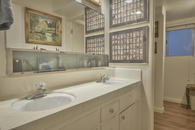 bathroom featuring wood-type flooring and vanity