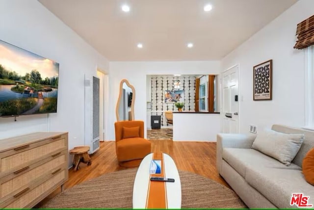 living room featuring light hardwood / wood-style flooring