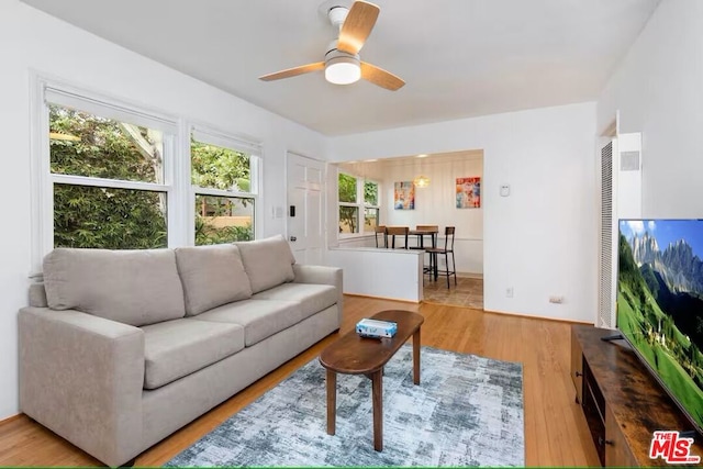 living room featuring ceiling fan and light hardwood / wood-style flooring