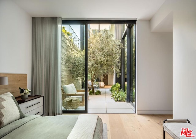 doorway featuring a wall of windows and light hardwood / wood-style floors