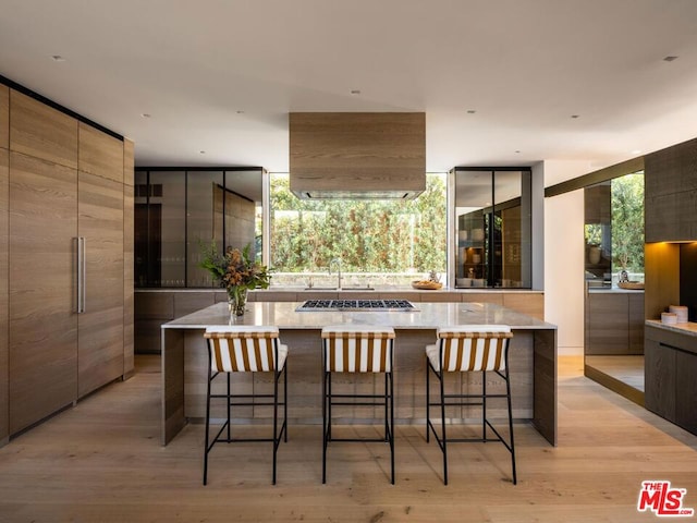 kitchen featuring light hardwood / wood-style flooring, a spacious island, and a kitchen bar