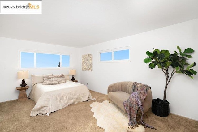 bedroom featuring multiple windows and light colored carpet