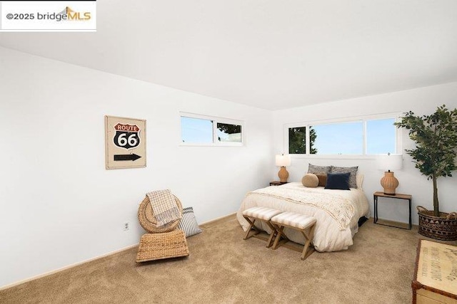 carpeted bedroom with multiple windows