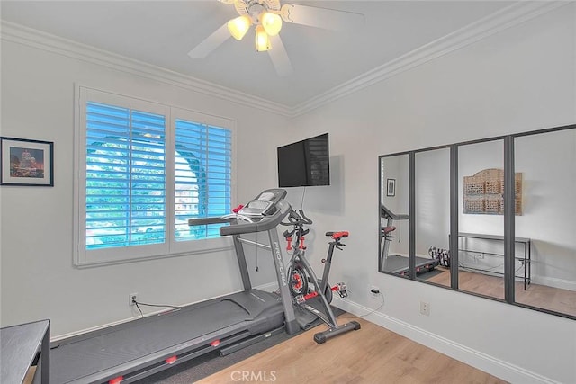 workout room featuring crown molding, ceiling fan, and hardwood / wood-style flooring