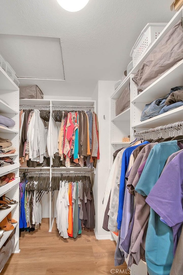 spacious closet featuring hardwood / wood-style floors