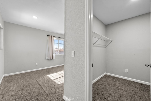 spacious closet with carpet