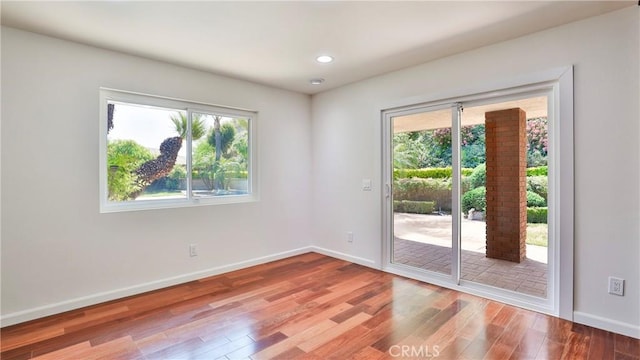 doorway with wood-type flooring and plenty of natural light