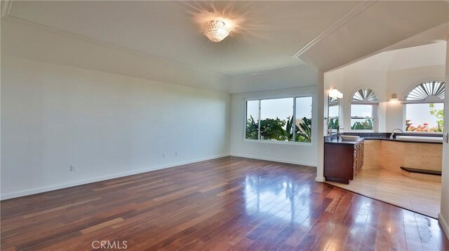 interior space featuring dark hardwood / wood-style flooring, sink, and plenty of natural light