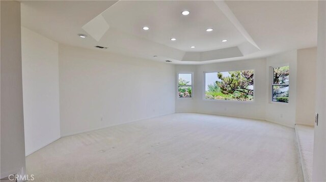 carpeted spare room with a raised ceiling