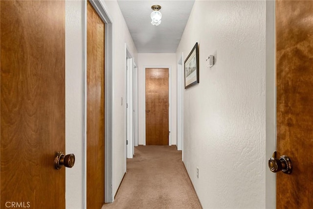 corridor with light colored carpet