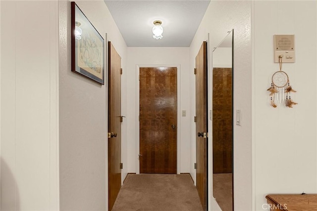 hallway with carpet floors