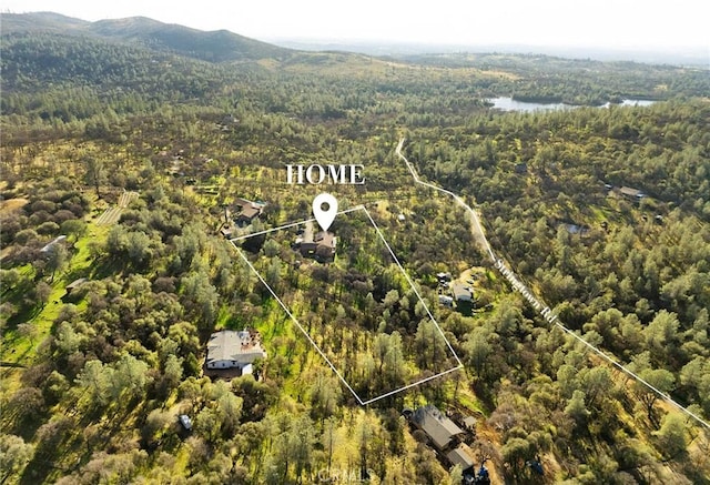 birds eye view of property featuring a mountain view