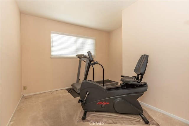 exercise area featuring light carpet