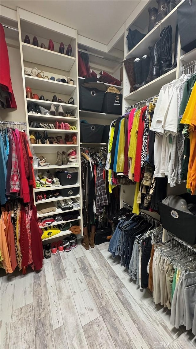 spacious closet featuring wood-type flooring