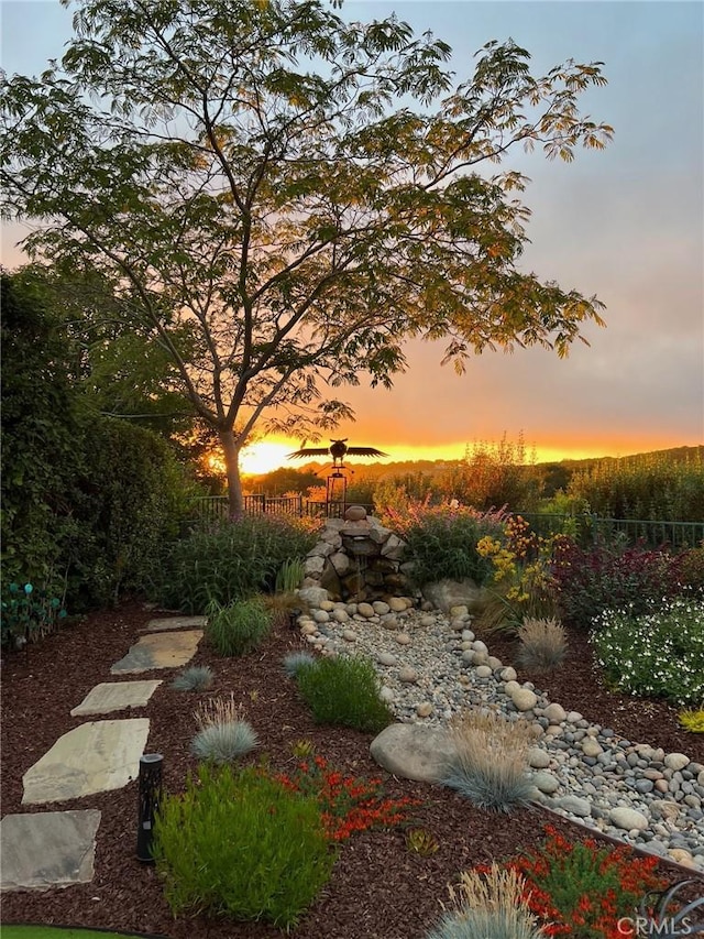 view of yard at dusk