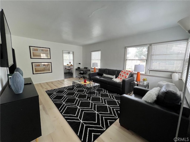 living room with wood-type flooring