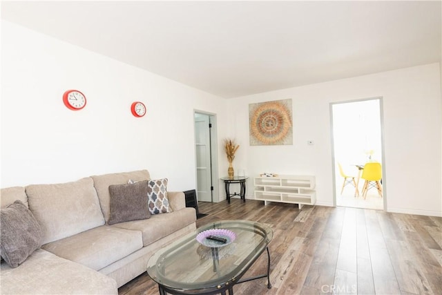 living room with wood-type flooring