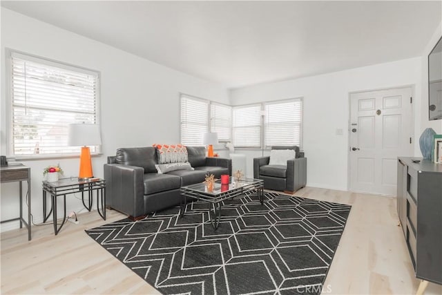 living room featuring hardwood / wood-style floors