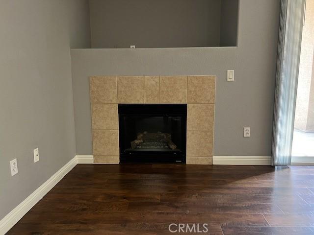 details featuring a fireplace and wood-type flooring