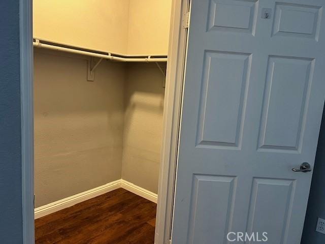 walk in closet with hardwood / wood-style floors