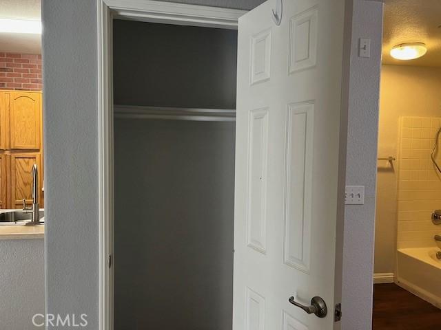 closet with sink