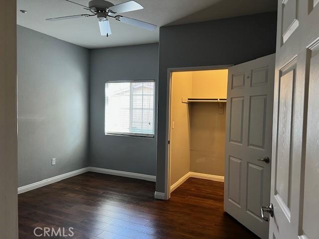 unfurnished bedroom with ceiling fan, dark hardwood / wood-style floors, a closet, and a spacious closet