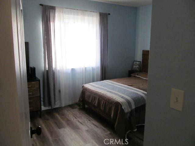 bedroom featuring multiple windows and wood-type flooring