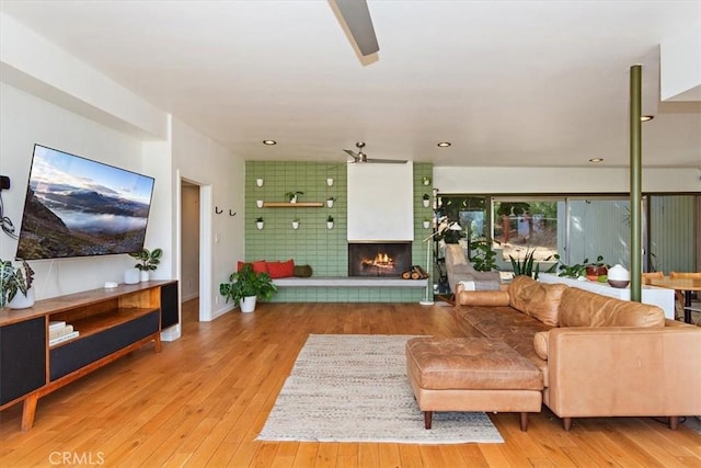 living room featuring a fireplace and light wood-type flooring