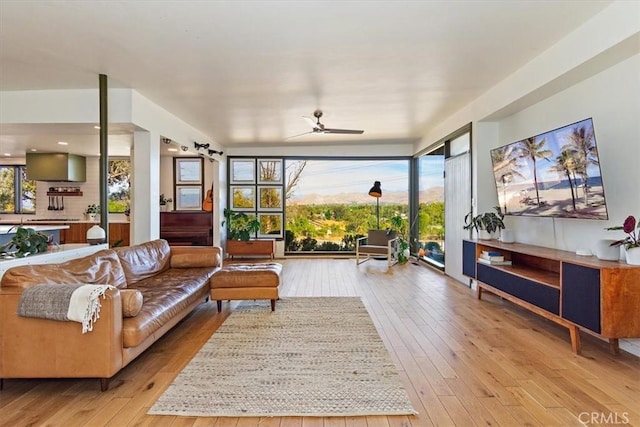 living room featuring ceiling fan and light hardwood / wood-style flooring