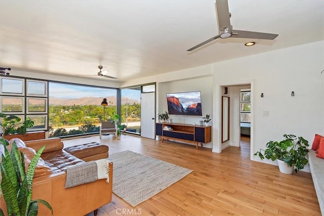 living room with ceiling fan and light wood-type flooring