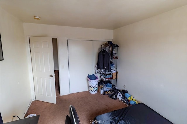 exercise room featuring carpet floors