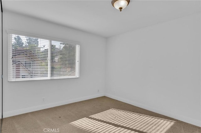 spare room featuring carpet flooring