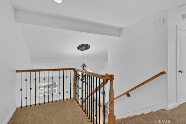 stairs with carpet floors