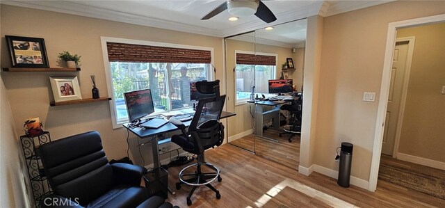 office space with crown molding, ceiling fan, and hardwood / wood-style flooring