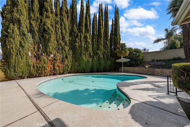 view of swimming pool with a patio area