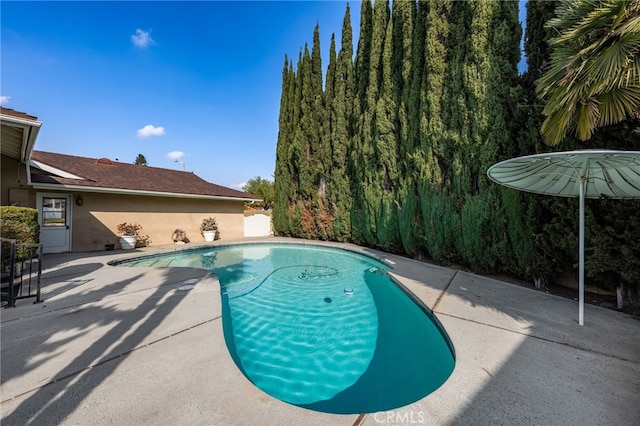 view of swimming pool featuring a patio area