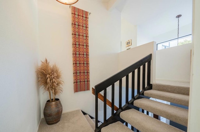 stairway featuring carpet floors