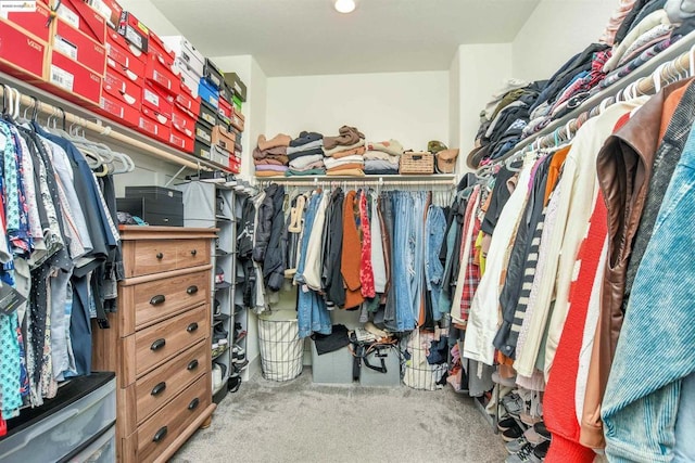 walk in closet featuring carpet