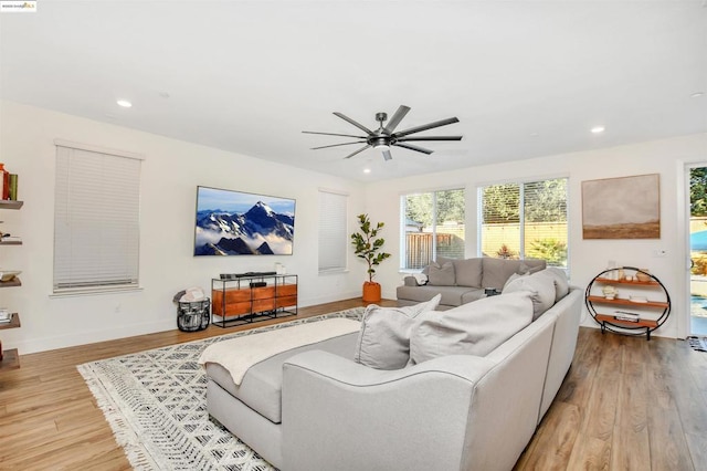 living room with ceiling fan and light hardwood / wood-style floors