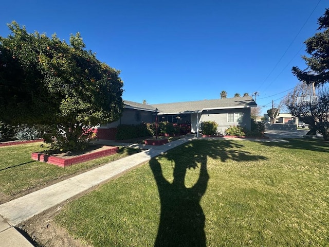 ranch-style house with a front lawn