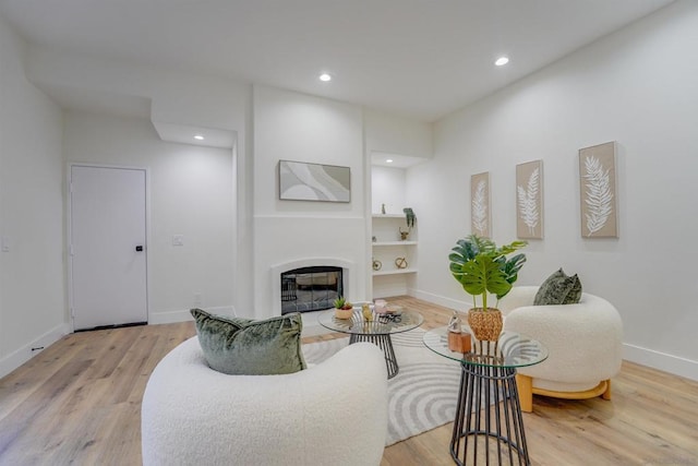 living room featuring light wood-type flooring