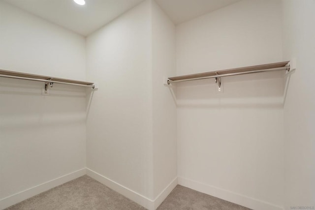 spacious closet featuring light colored carpet