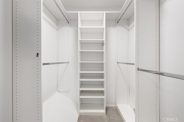 spacious closet with carpet flooring