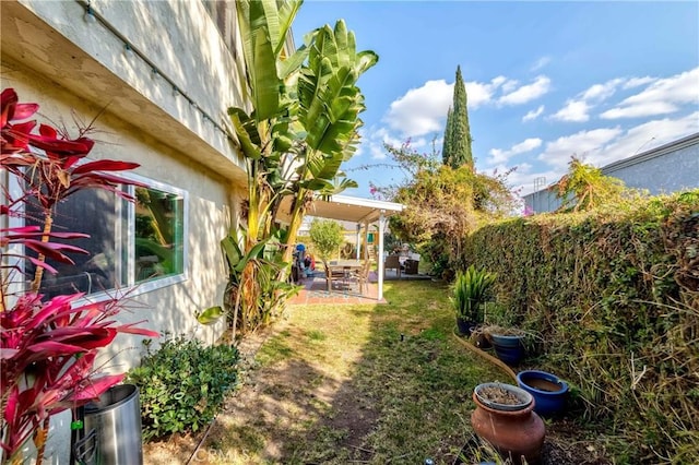 view of yard with a patio